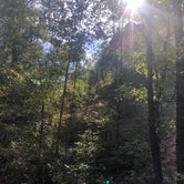 Review photo of Providence Canyon State Park Campground by Shelly S., October 30, 2018