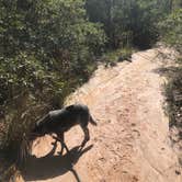 Review photo of Providence Canyon State Park Campground by Shelly S., October 30, 2018