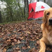 Review photo of Mathews Arm Campground — Shenandoah National Park by John K., October 30, 2018