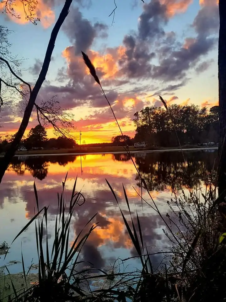 Camper-submitted photo at JCO Campground at Lee Baysden Pond near Richlands, NC