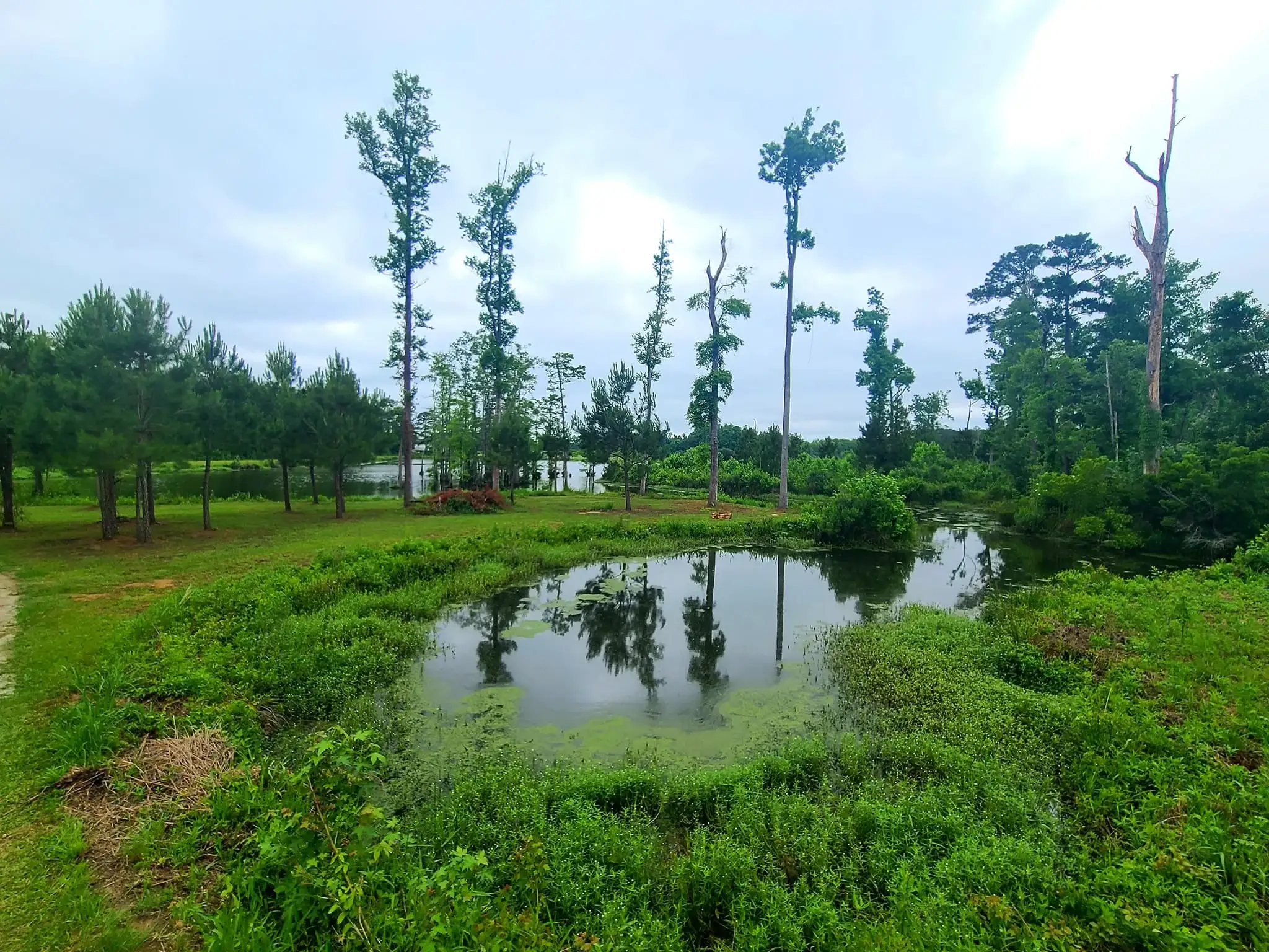 Camper-submitted photo at JCO Campground at Lee Baysden Pond near Richlands, NC