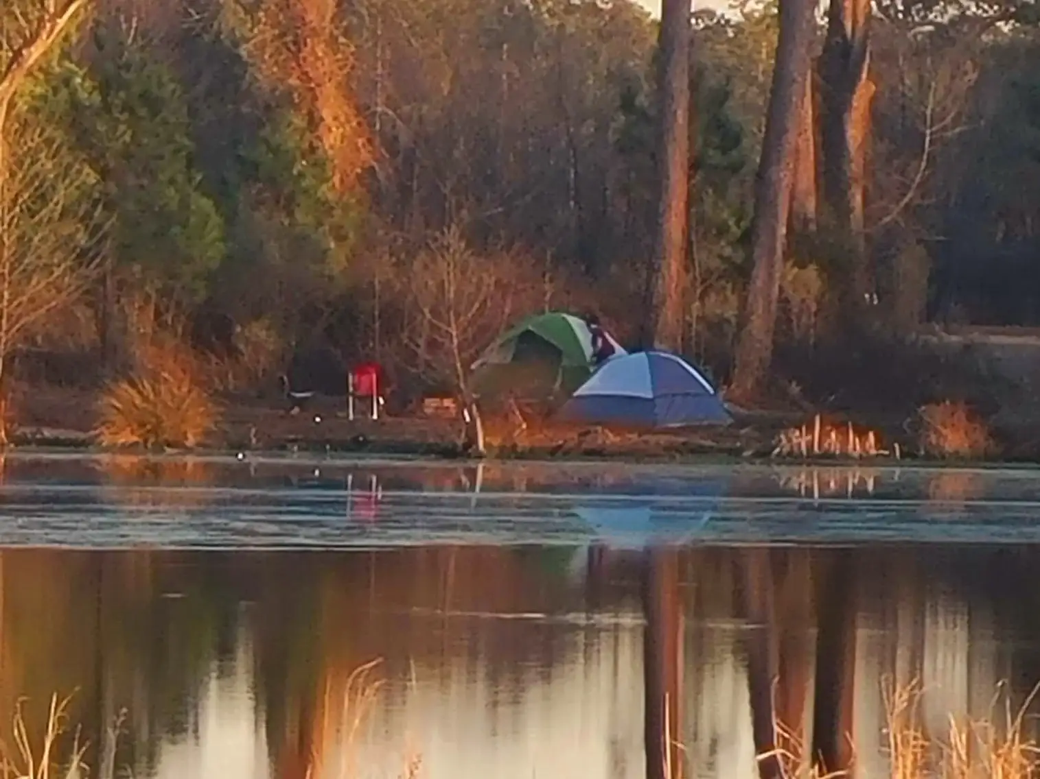Camper-submitted photo at JCO Campground at Lee Baysden Pond near Richlands, NC