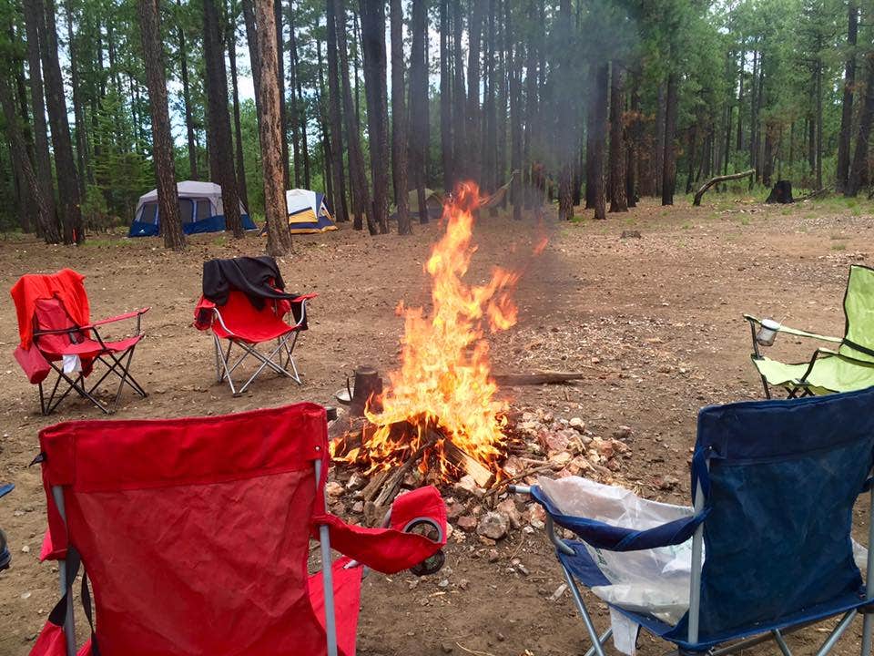 Camper submitted image from Rim Lakes Recreation Area - 2