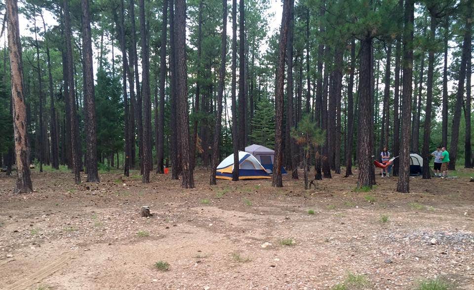 Camper submitted image from Rim Lakes Recreation Area - 5