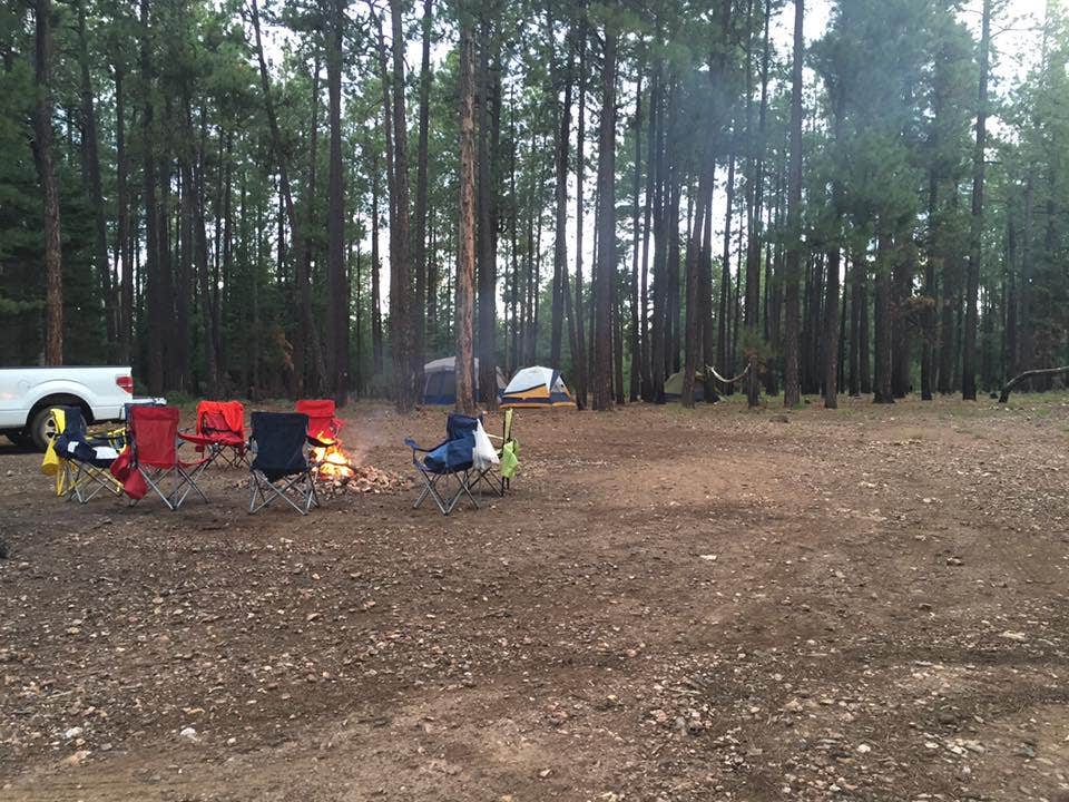 Camper submitted image from Rim Lakes Recreation Area - 3