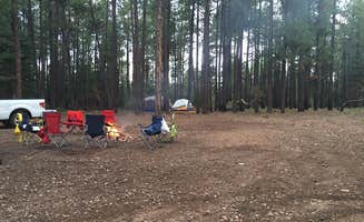 Audrey R.'s photo at Rim Lakes Recreation Area near Young, AZ