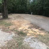 Review photo of Trace State Park Campground by Shelly S., October 30, 2018