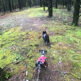 Review photo of Trace State Park Campground by Shelly S., October 30, 2018