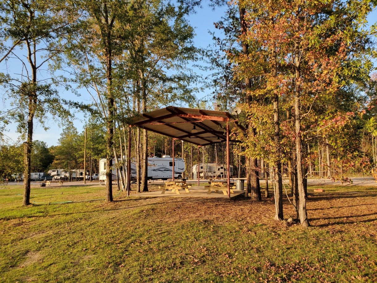 Camper submitted image from Sunshine Oaks RV Park - 2