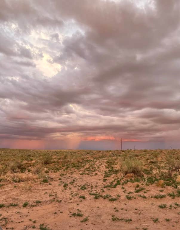 Camper submitted image from Petrified Forest Campground - 1