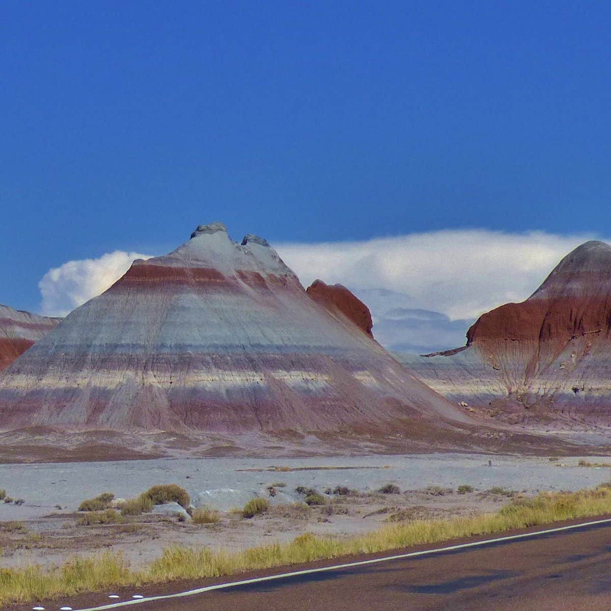 Camper submitted image from Petrified Forest Campground - 2