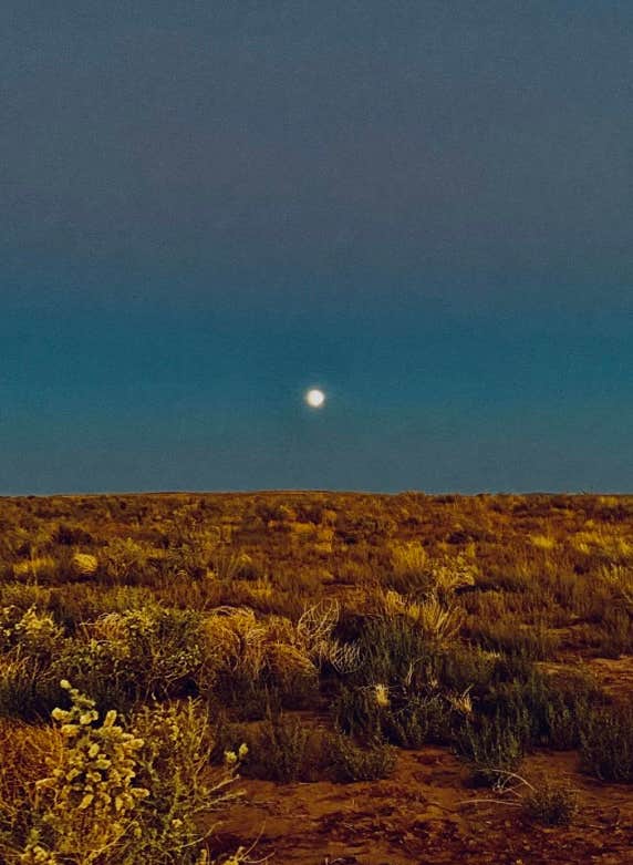 Camper-submitted photo at Petrified Forest Campground near Chambers, AZ