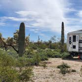 Review photo of Cactus Forest Dispersed by John R., March 10, 2023