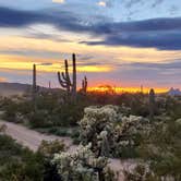 Review photo of Cactus Forest Dispersed by John R., March 10, 2023