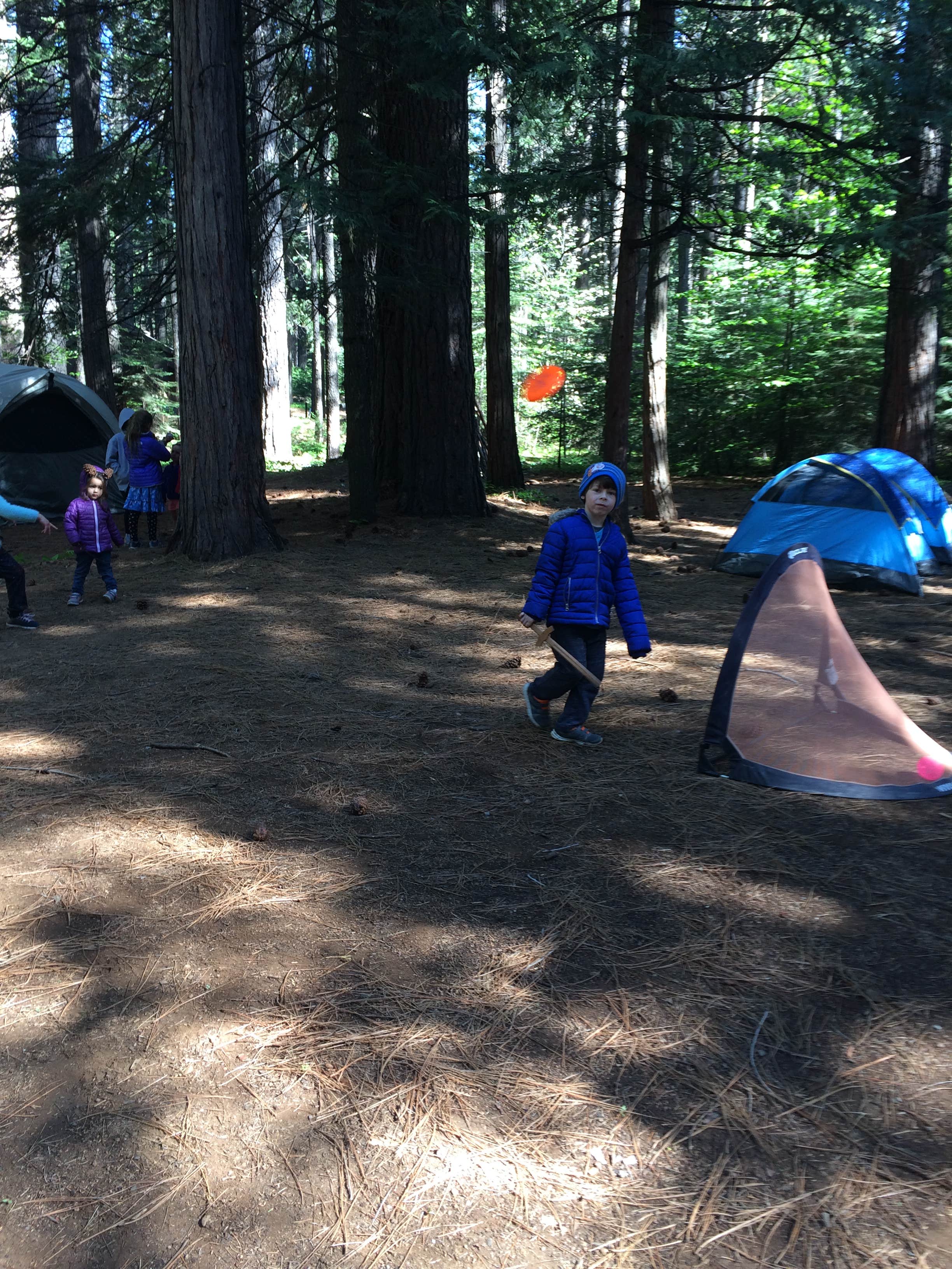 Ingrid B.'s photo of tent camping at North Grove Campground — Calaveras Big Trees State Park near Angels, CA