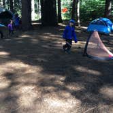 Review photo of North Grove Campground — Calaveras Big Trees State Park by Ingrid B., October 30, 2018