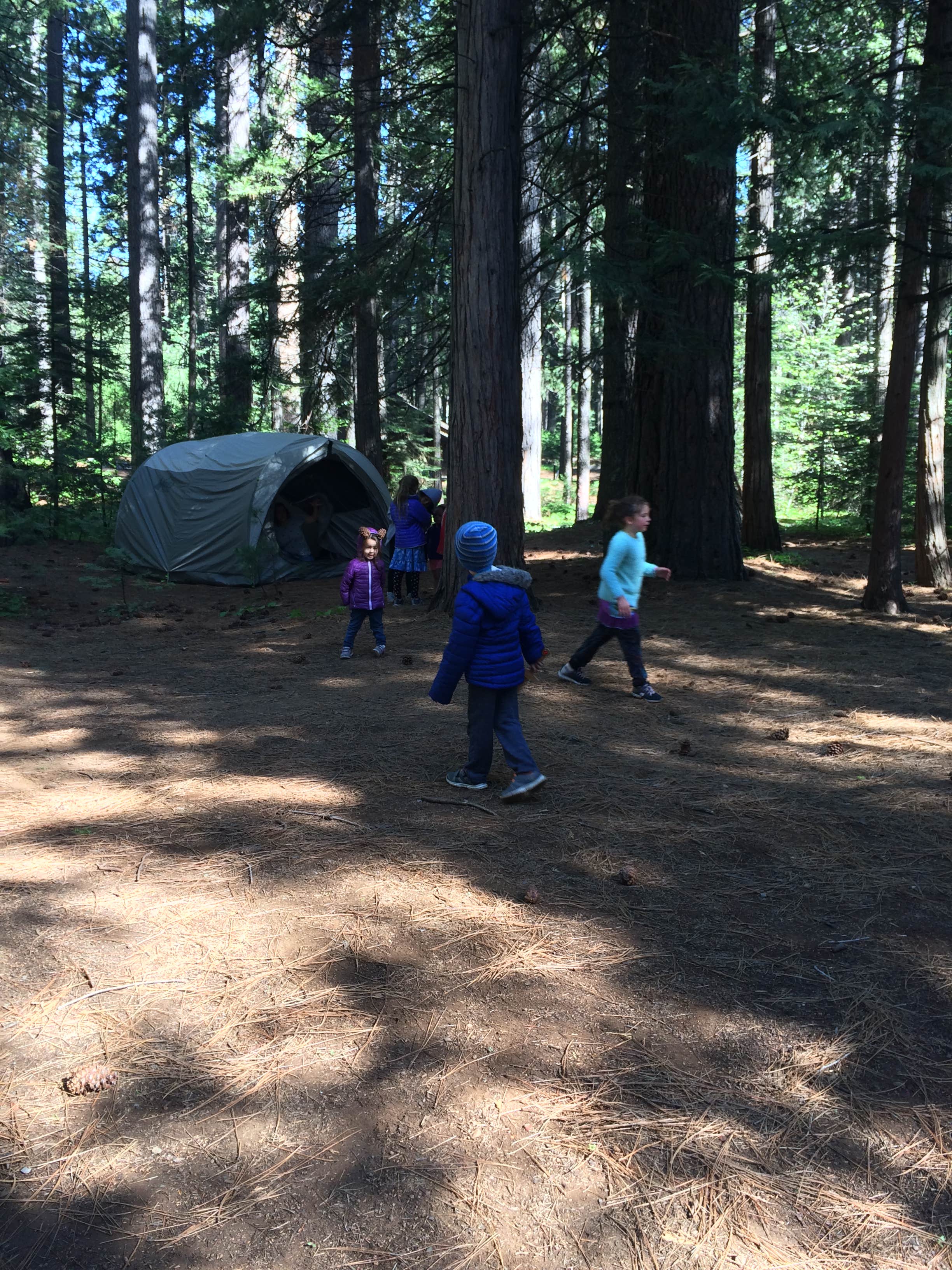 Ingrid B.'s photo at North Grove Campground — Calaveras Big Trees State Park near Avery, CA