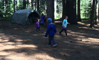 Ingrid B.'s photo at North Grove Campground — Calaveras Big Trees State Park near Avery, CA