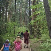 Review photo of Calaveras Big Trees State Park Campground by Ingrid B., October 30, 2018