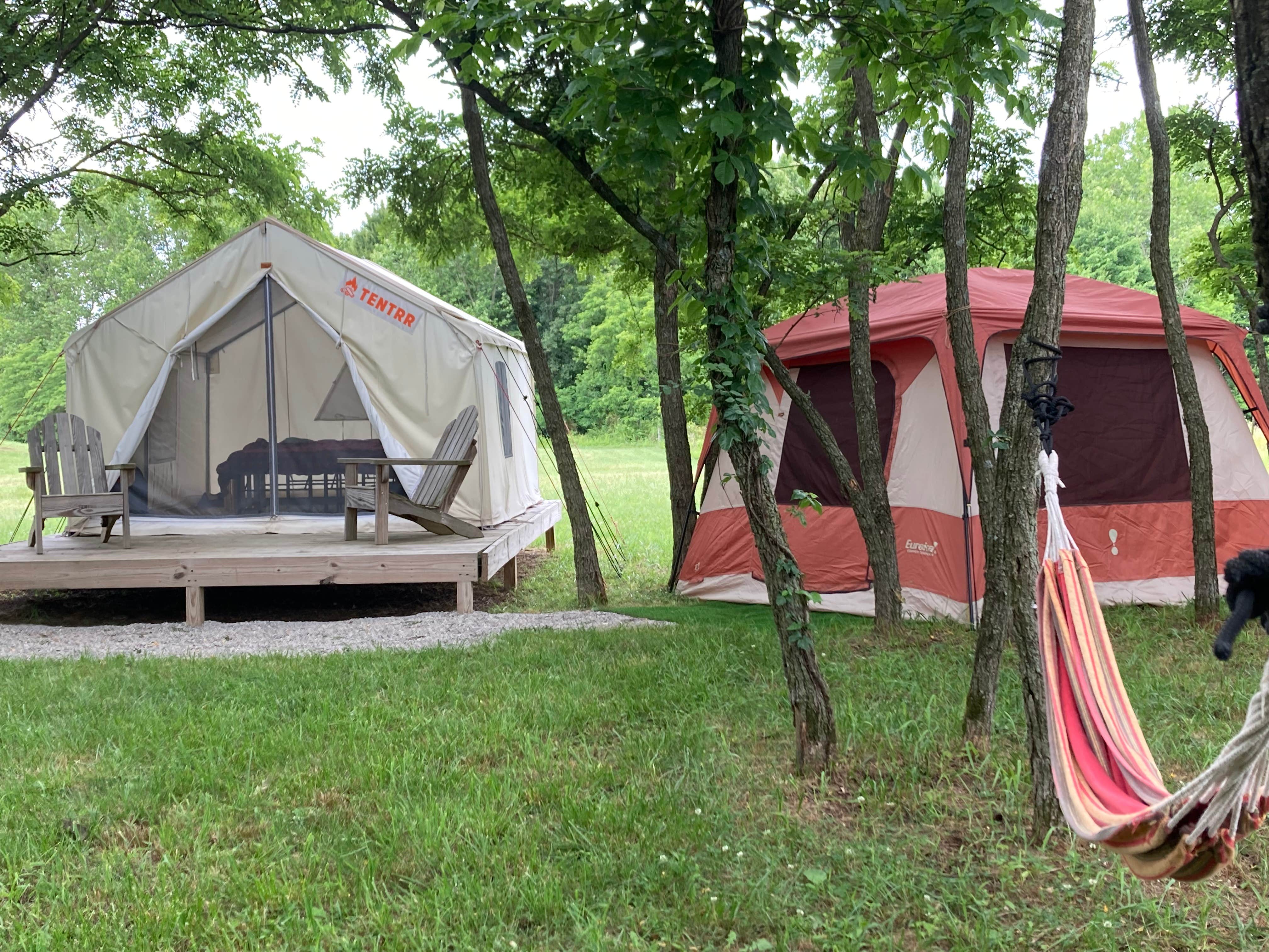 The Dyrt's photo at Tentrr Signature Site - Starry Nights near Hamden, OH
