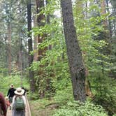 Review photo of North Grove Campground — Calaveras Big Trees State Park by Ingrid B., October 30, 2018