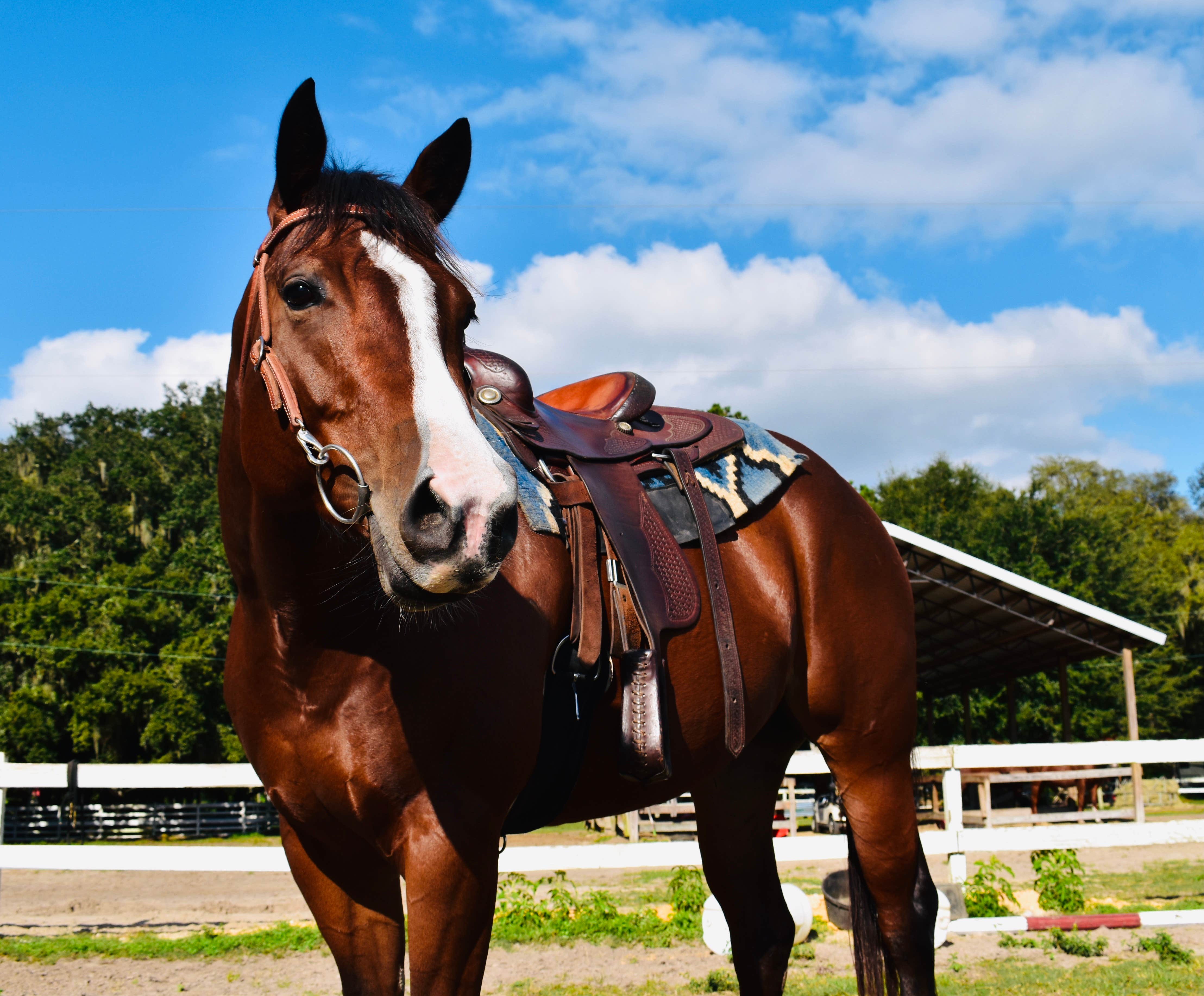 Camper-submitted photo at Red Gate Farms - RV Resort near Hardeeville, SC