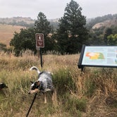 Review photo of Merritt Reservoir State Rec Area by Shelly S., October 30, 2018