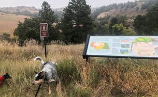 Shelly S.'s photo of camping with pets at Merritt Reservoir Main Area Campground in Nebraska