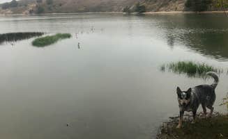 Shelly S.'s photo of camping with pets at Merritt Reservoir Main Area Campground in Nebraska