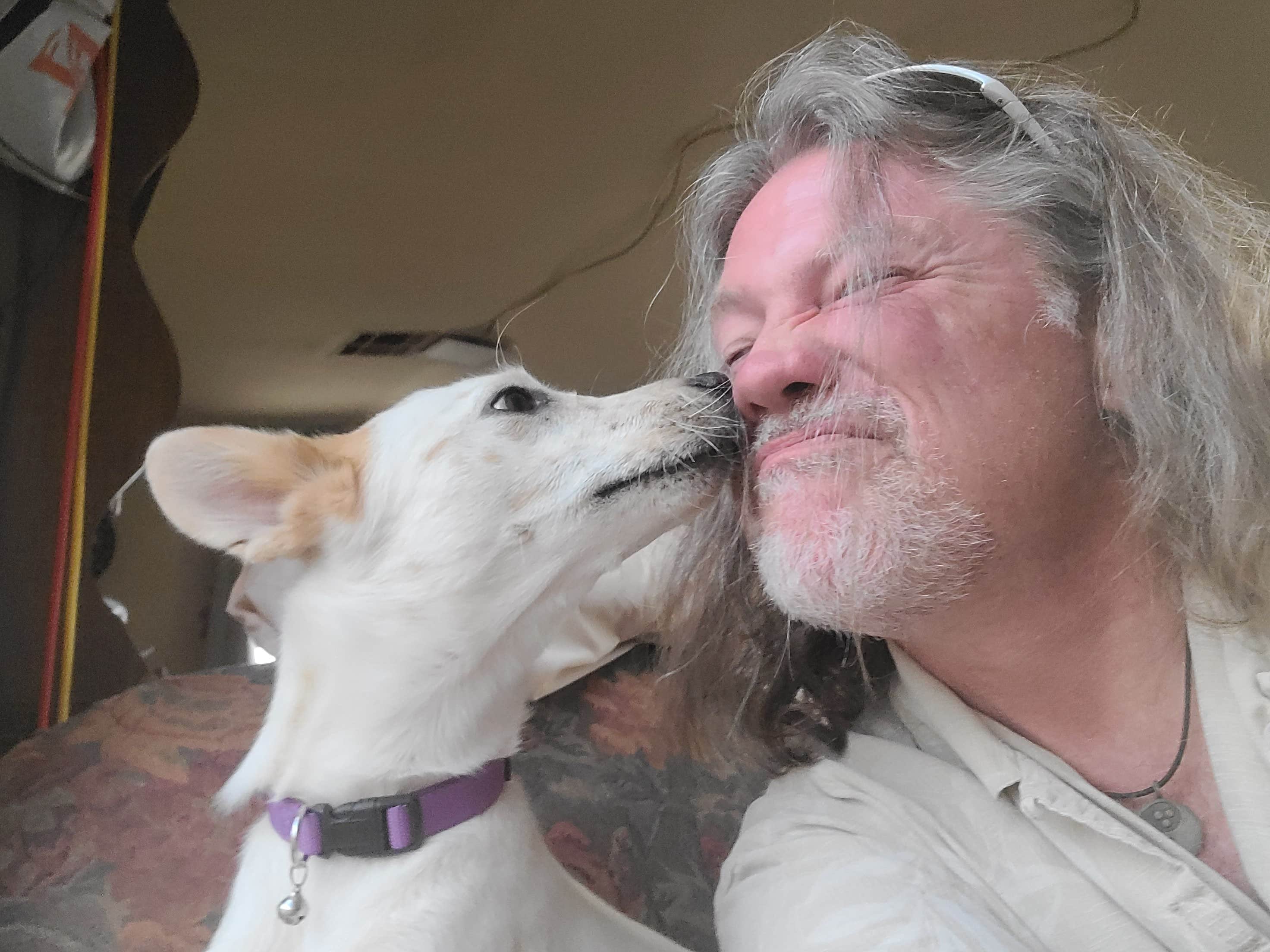 Camper-submitted photo at A Spark in the Dark near Paulden, AZ