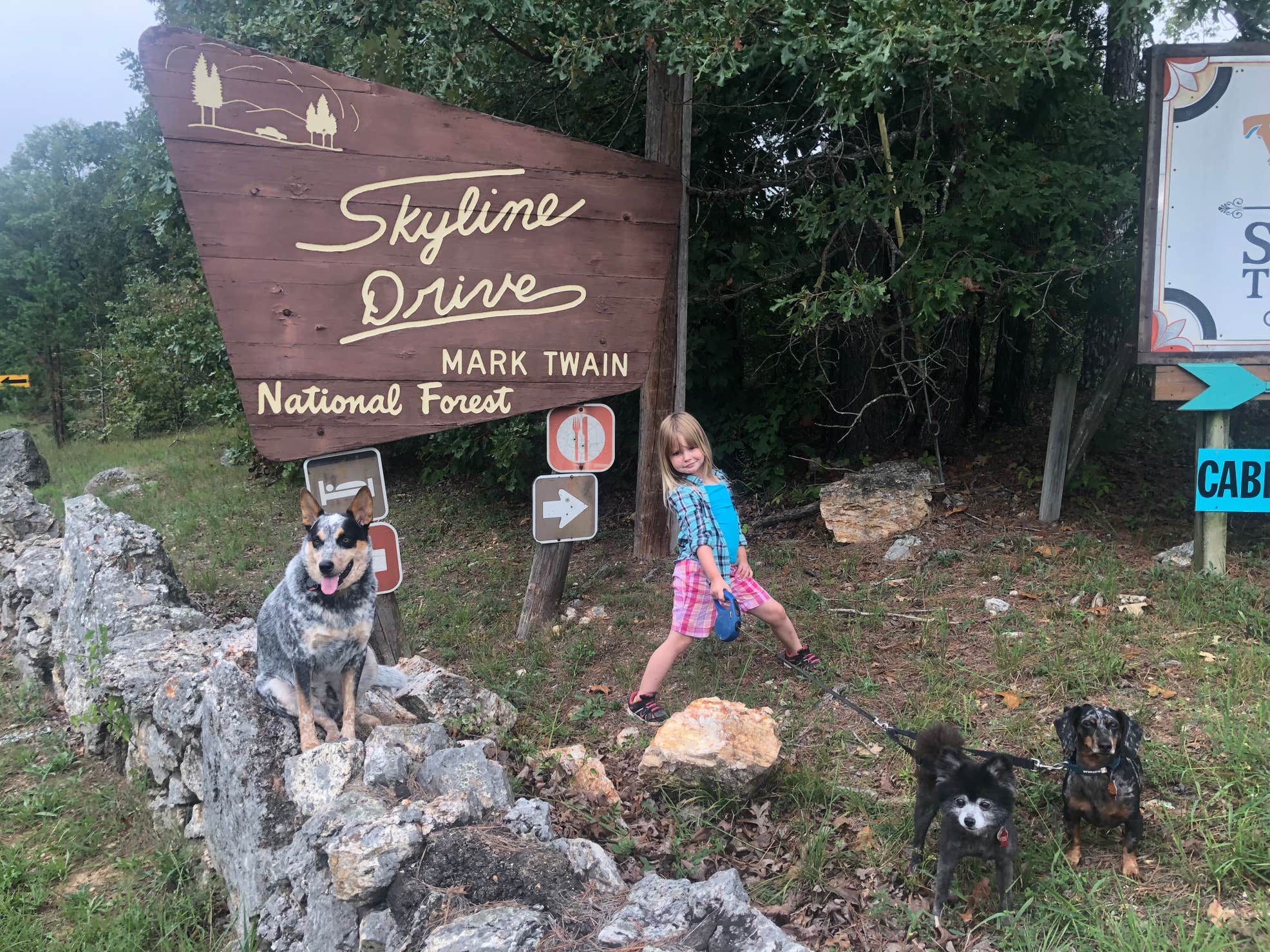 Ozark NSR Powder Mill Camping The Dyrt