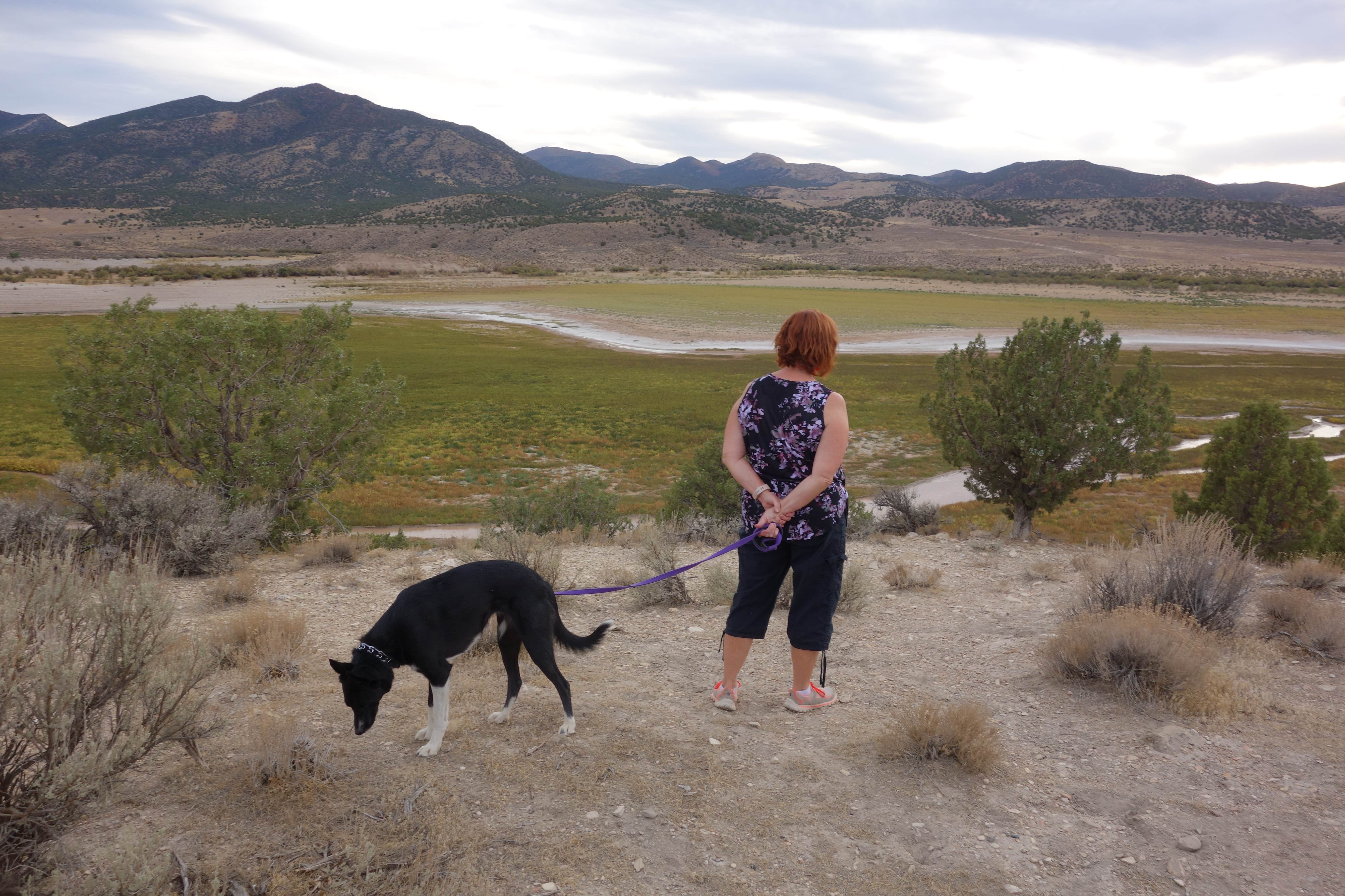 Camper submitted image from Eagle View Campground — Yuba State Park - 4