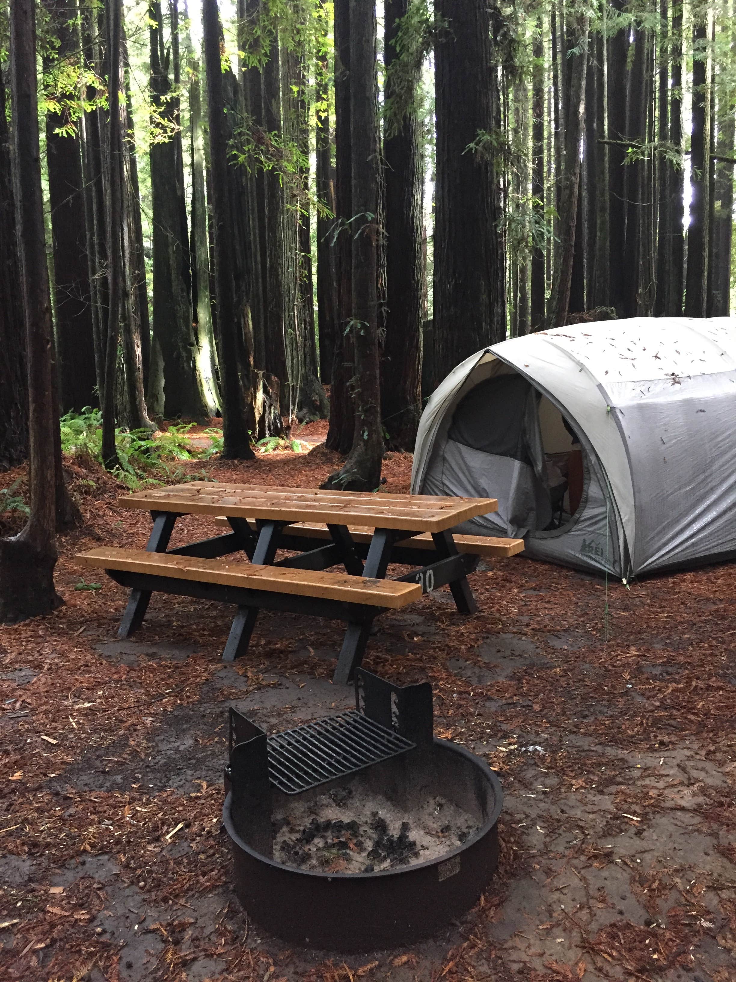 Camper submitted image from Florence Keller Regional Park - 3