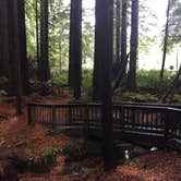 Review photo of Florence Keller Regional Park by Aliyah B., October 31, 2018