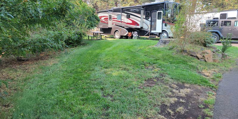Camper submitted image from Scandia RV Park