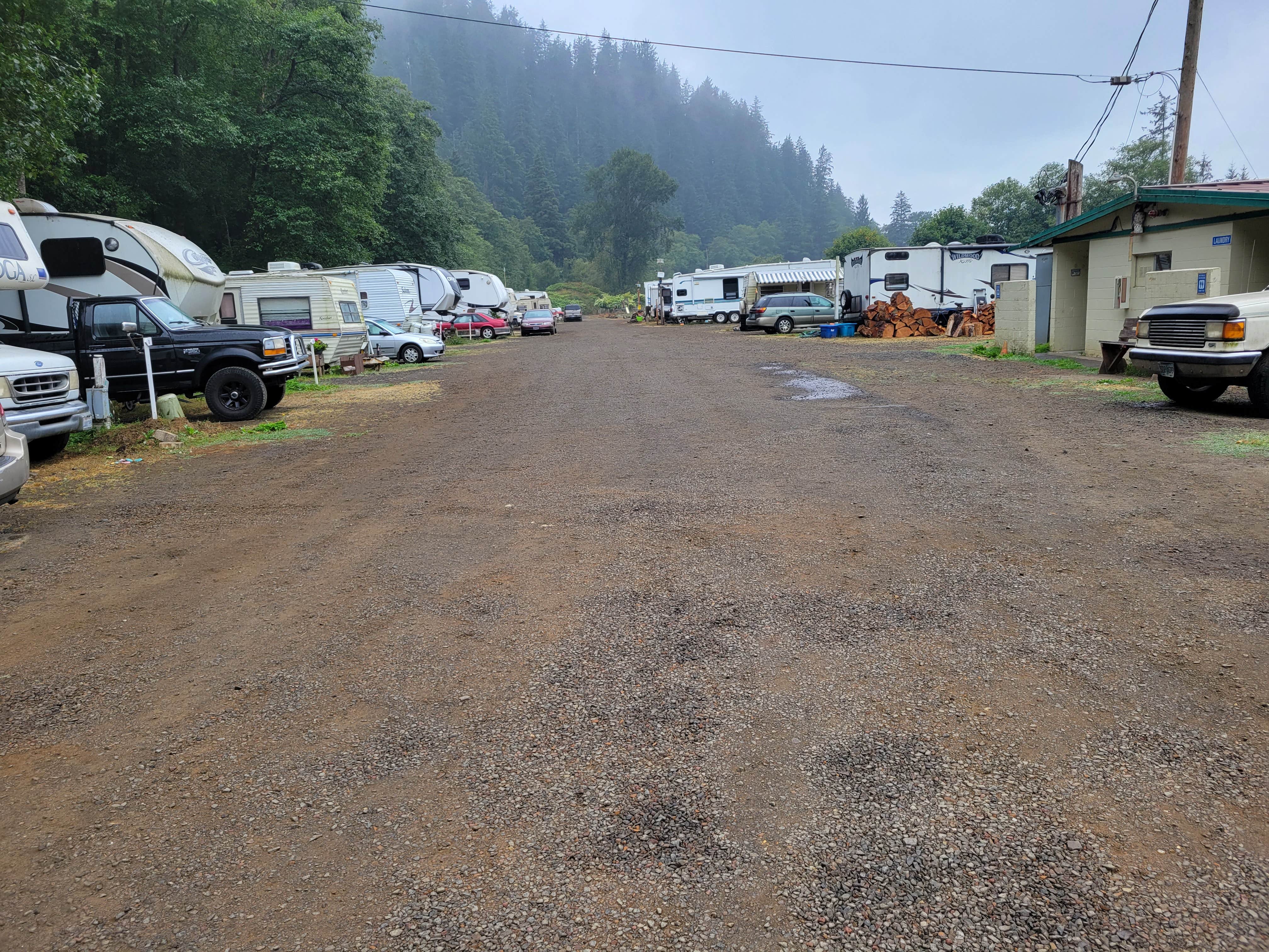 Camper-submitted photo at Misty River RV Park near Gales Creek, OR
