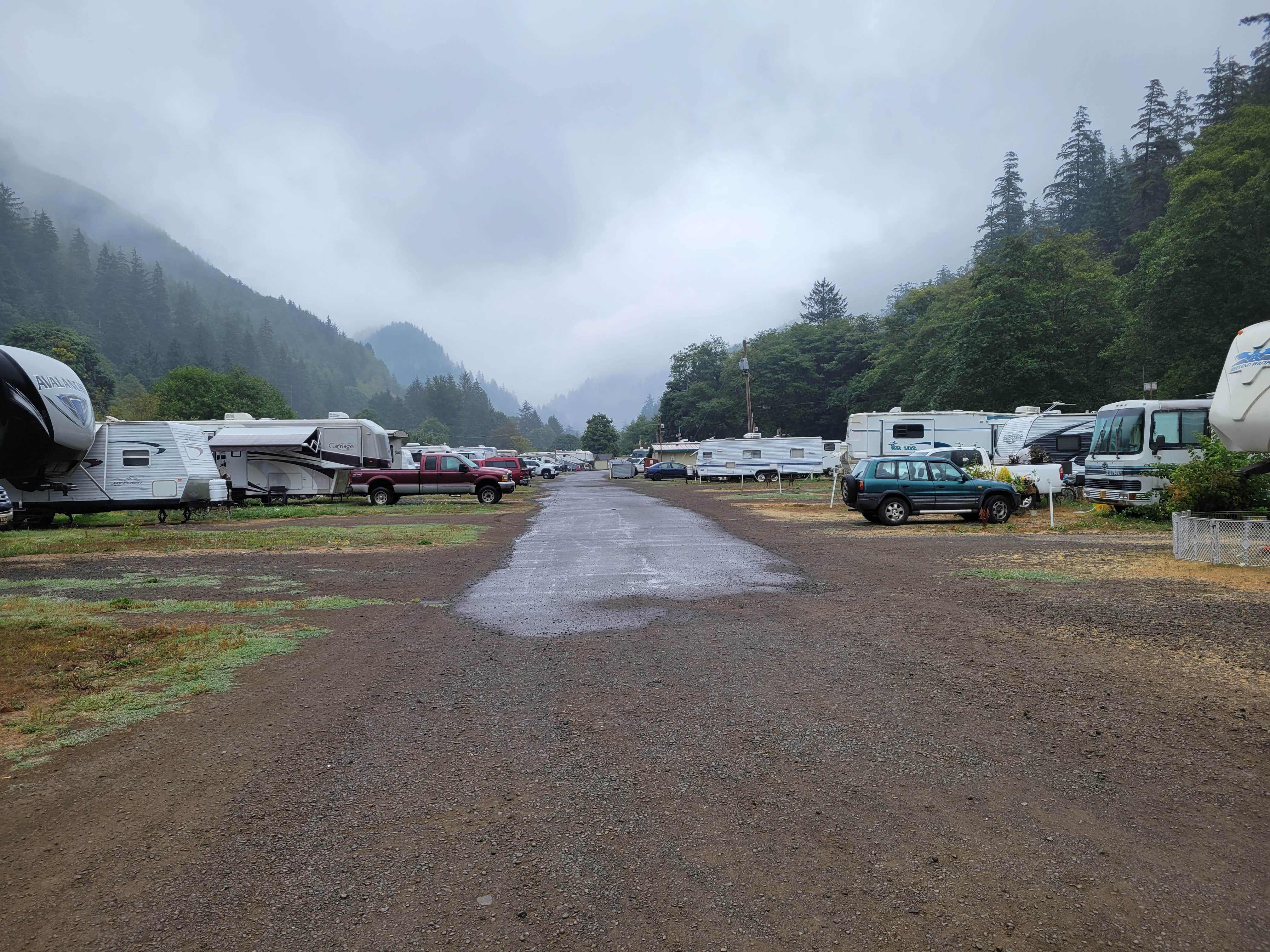 Camper-submitted photo at Misty River RV Park near Gales Creek, OR