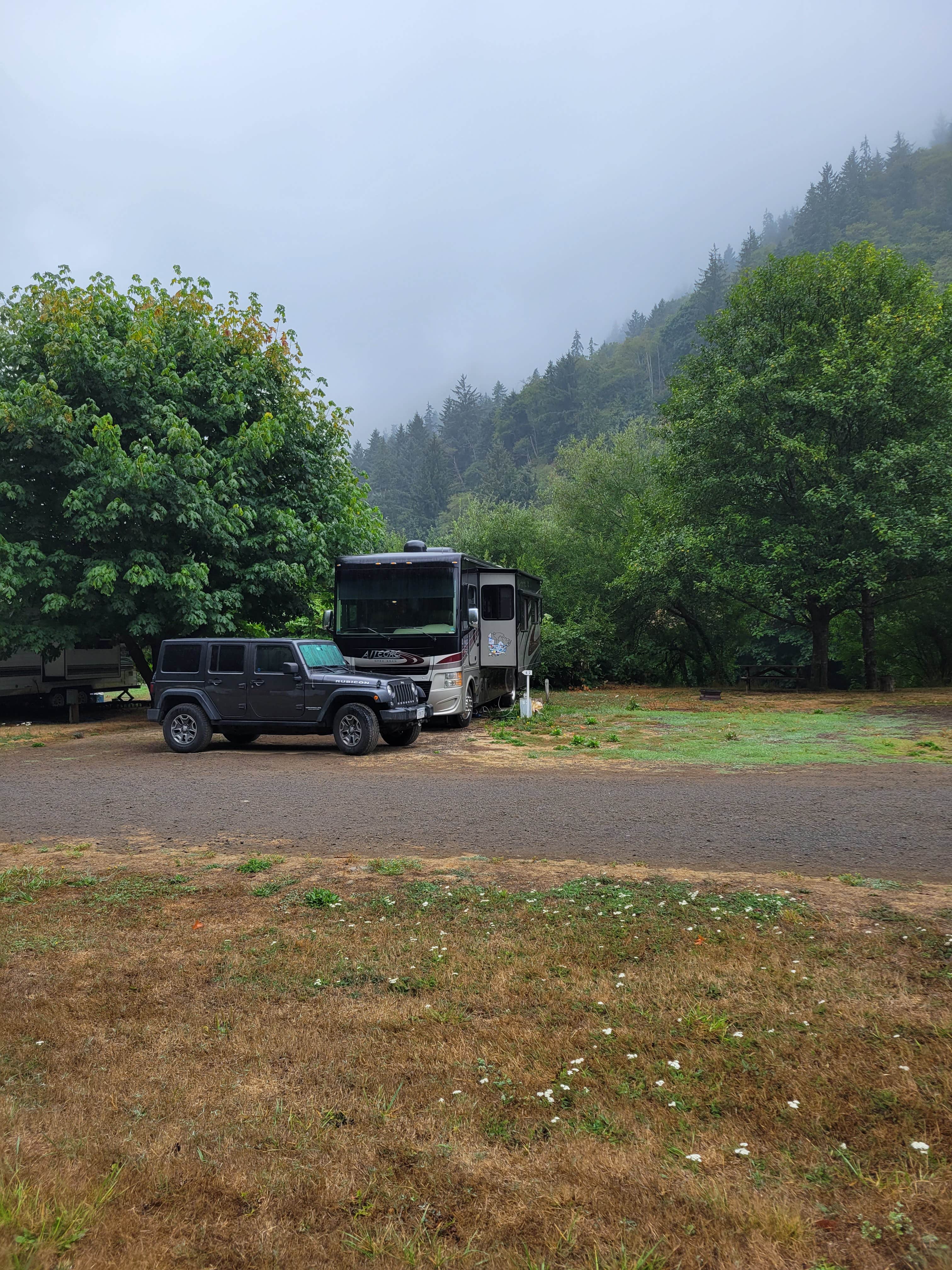 Tillamook State Forest South Fork Trask Camping Tillamook OR