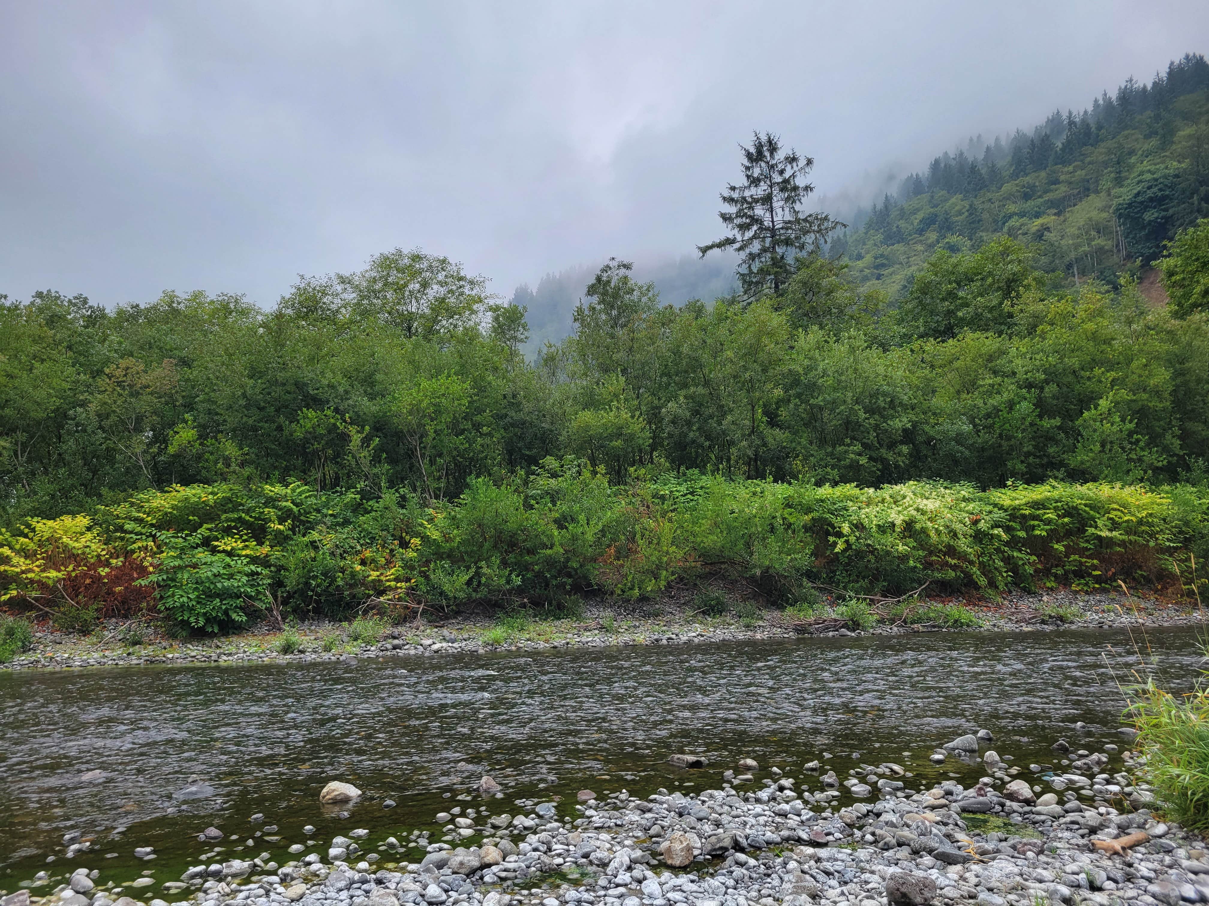 Camper-submitted photo at Misty River RV Park near Gales Creek, OR