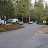 Review photo of Alder Lake Campground by Cande D., September 16, 2023