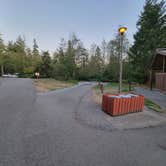 Review photo of Alder Lake Campground by Cande D., September 16, 2023