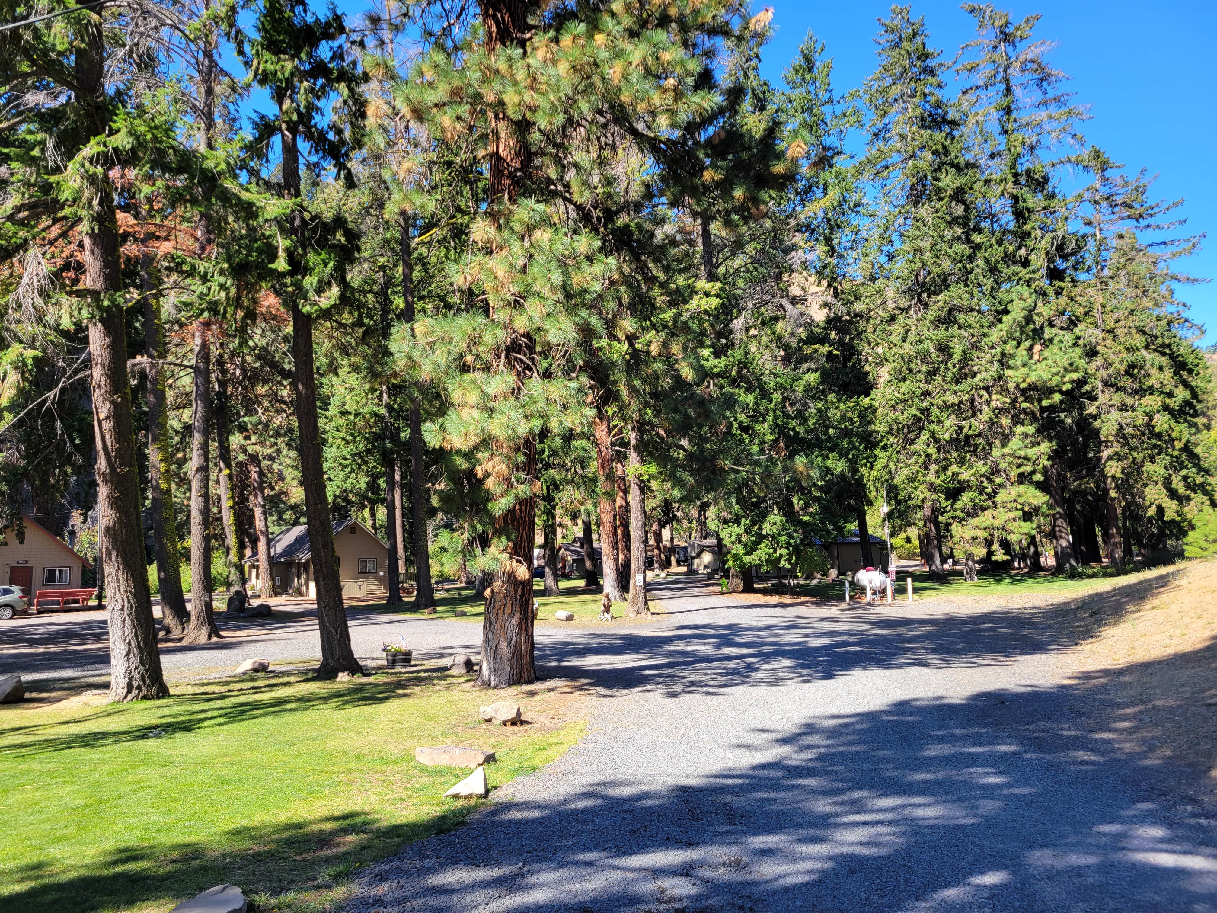 Cande D.'s photo of camping with pets at Squaw Rock RV Resort and Campground near Yakima, WA