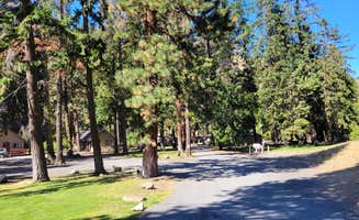 Cande D.'s photo of camping with pets at Squaw Rock RV Resort and Campground near Yakima, WA