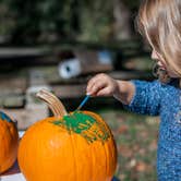 Review photo of Powhatan State Park Campground by Stephanie J., October 31, 2018