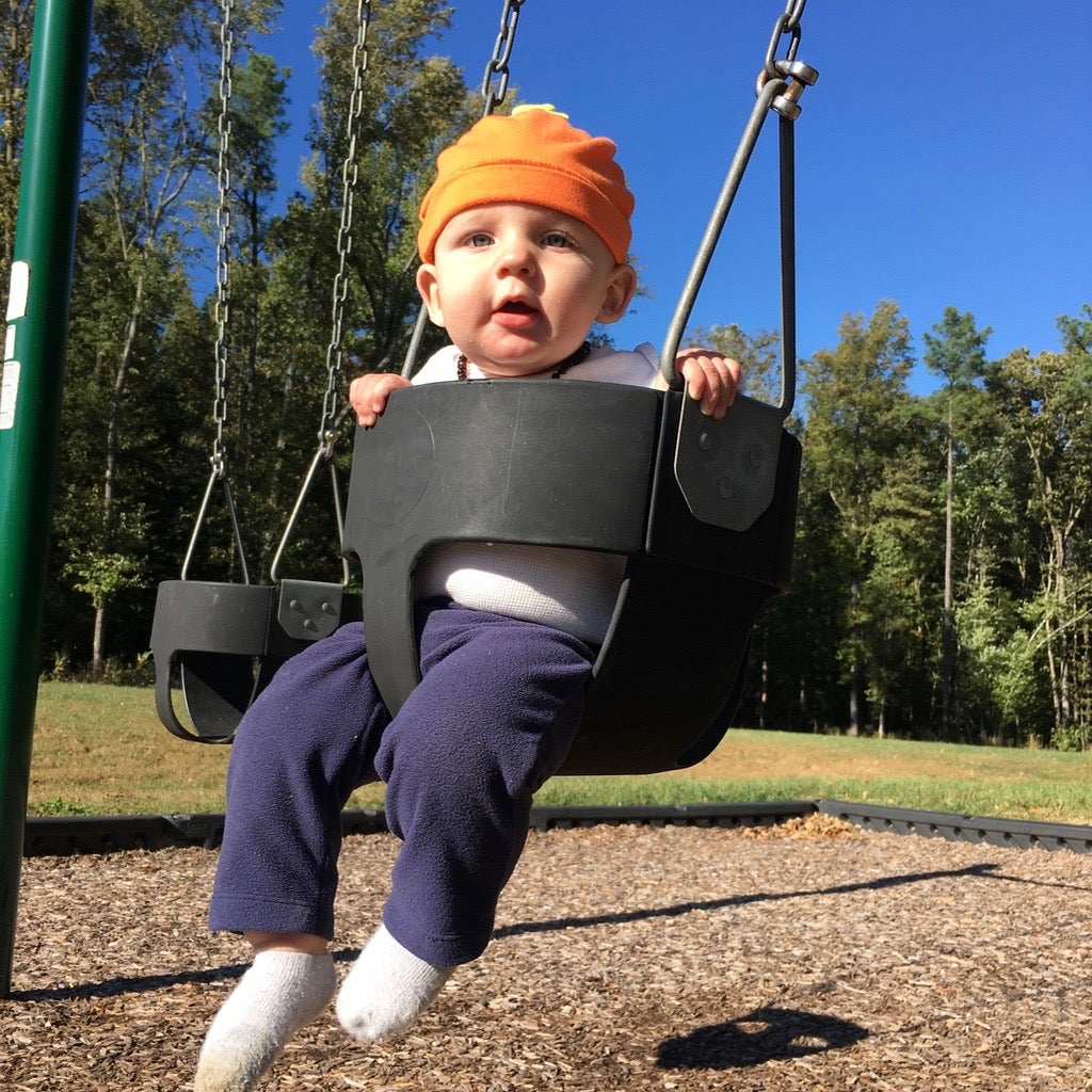 Baby swings, near the ranger station at the entrance to the park, the picnic shelters, and the trailhead to the horse-friendly Cabin Trail.