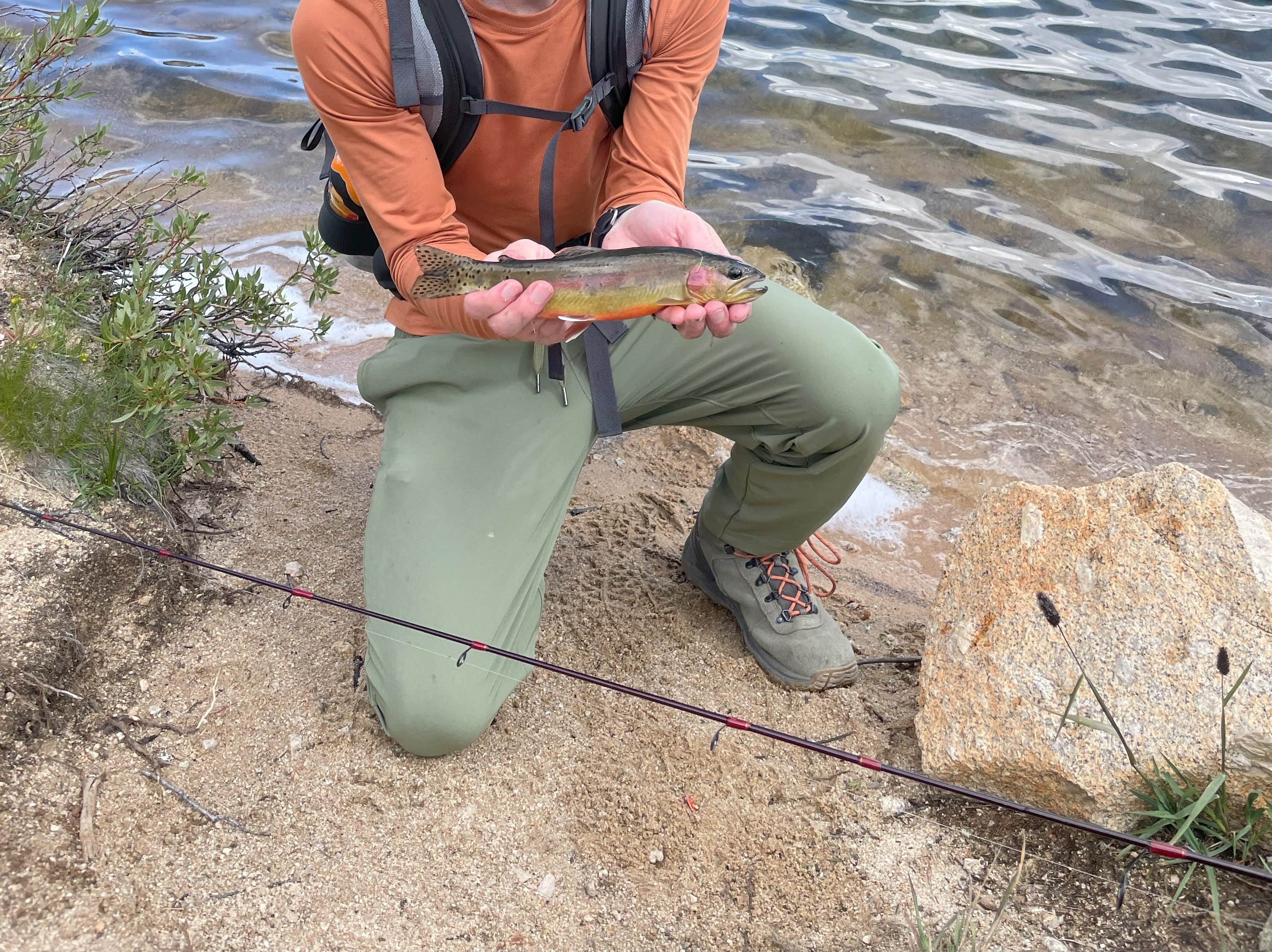 Camper submitted image from Cottonwood Lakes Backcountry Campsite - 2