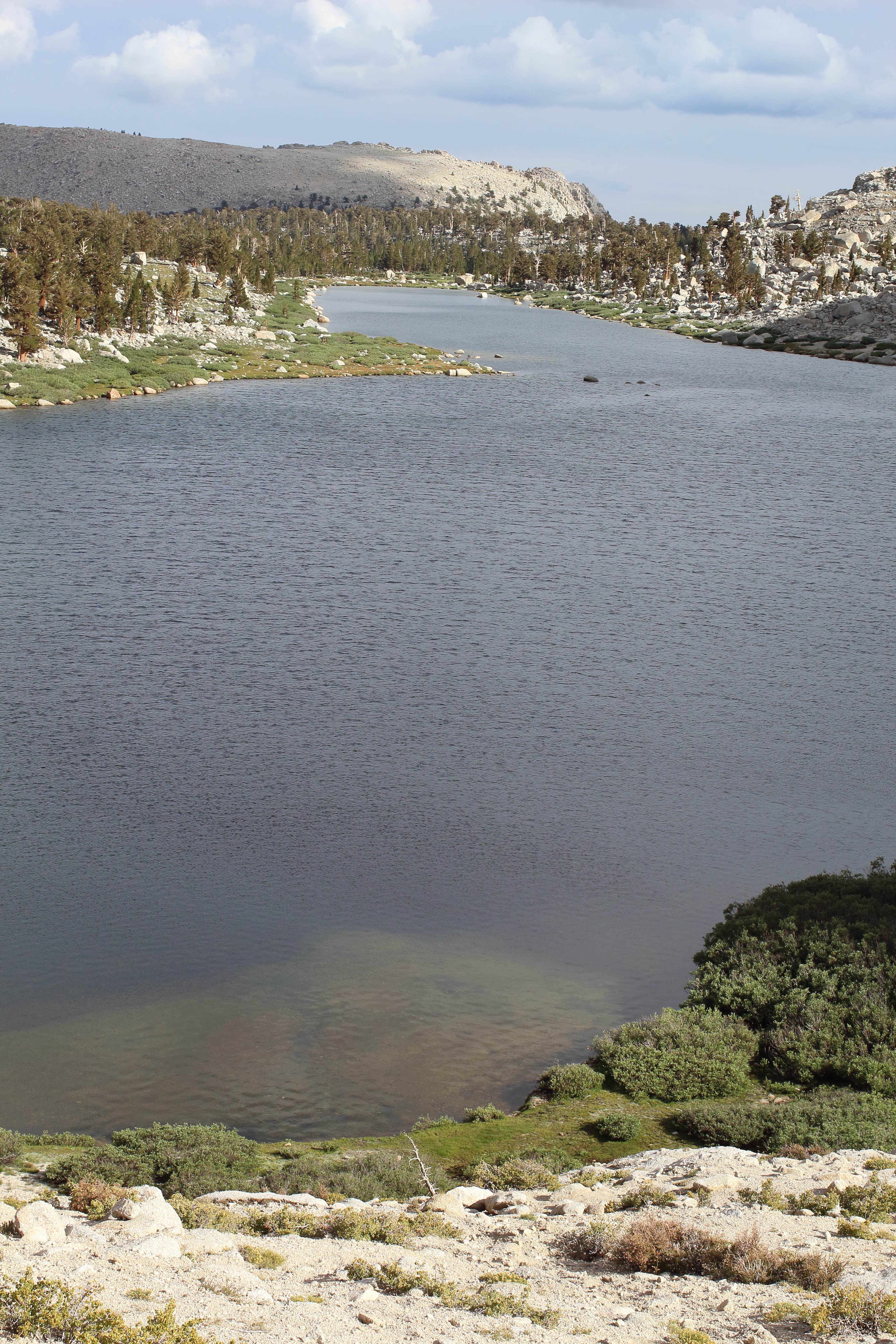 Camper submitted image from Cottonwood Lakes Backcountry Campsite - 4