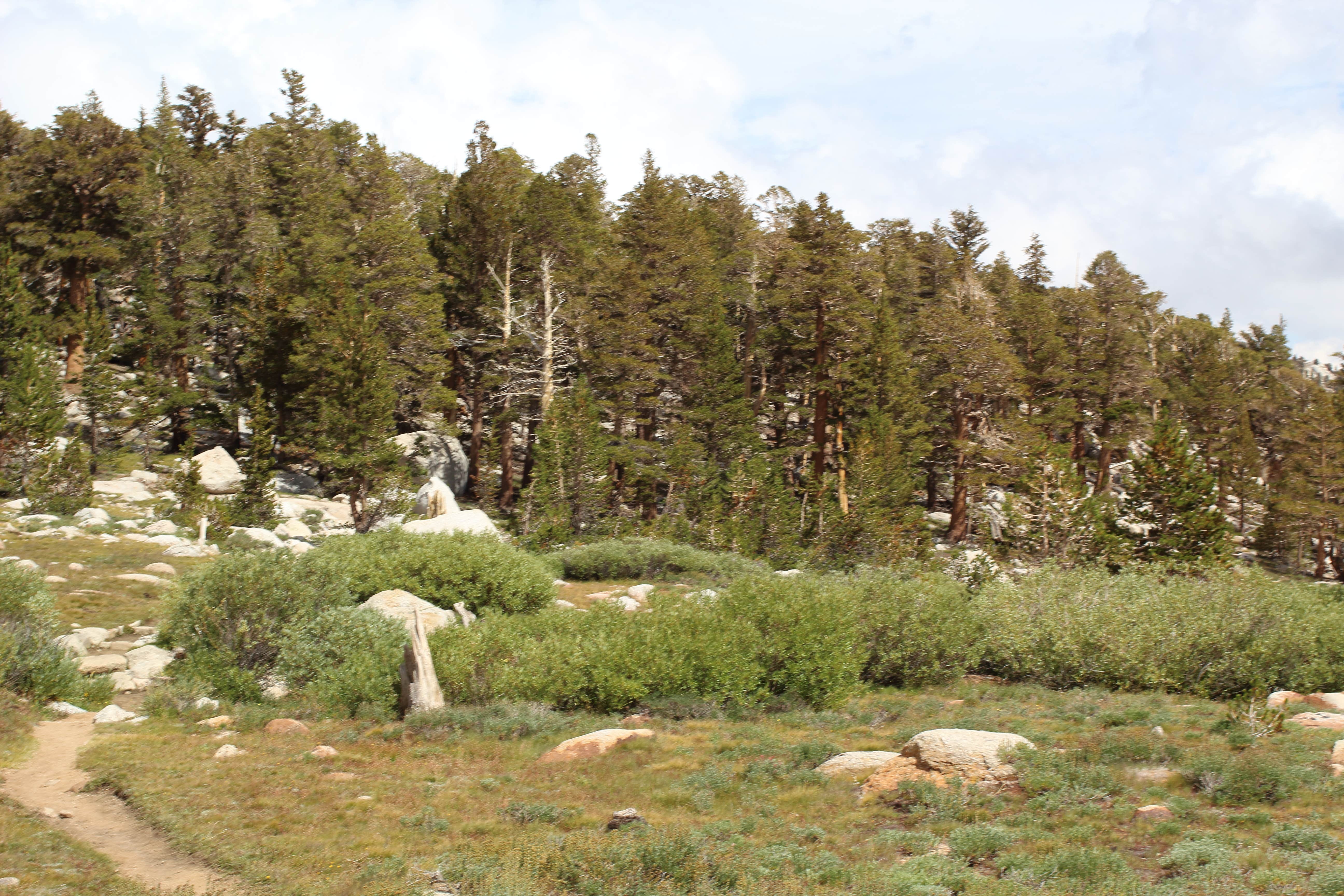 Cottonwood lakes trailhead clearance campground