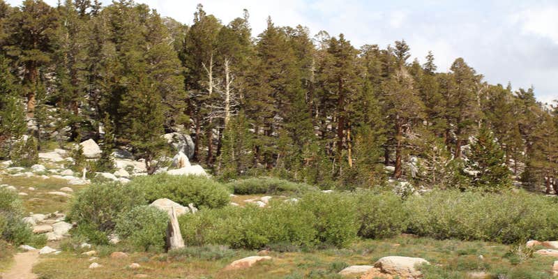 Camper submitted image from Inyo National Forest Cottonwood Lakes Trailhead Campground