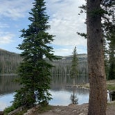 Review photo of Trial Lake Campground by Chris B., September 16, 2023